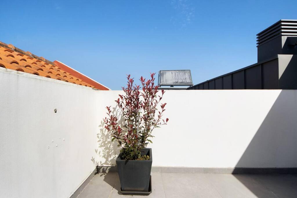 Sao Roque Sweet Burgo Apartment Aveiro Exterior photo